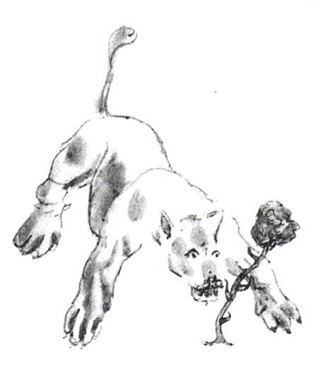 Der kleine Prinz – Kapitel 8 – Text online lesen: Die Rose