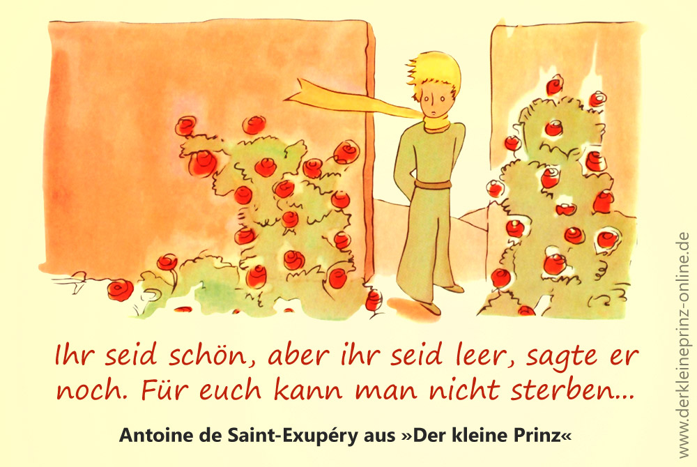Zitate Zahmen Antoine De Saint Exupery Der Kleine Prinz Online