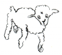 Der kleine Prinz – Zeichnung vom 3. Schaf, das alte Schaf